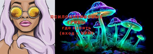герыч Богородицк