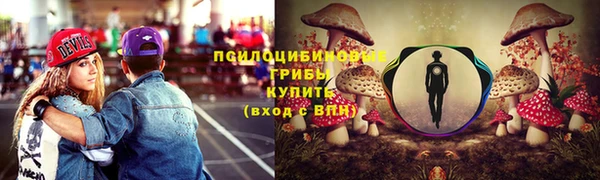 амф Богородск