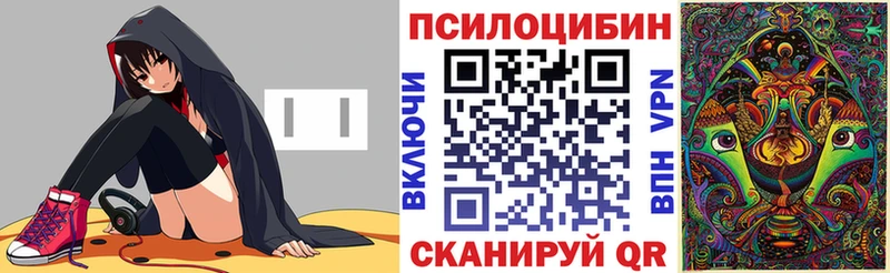 даркнет сайт  Минусинск  Галлюциногенные грибы MAGIC MUSHROOMS 